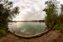 2018-09-04-mittelgrund-pano-01