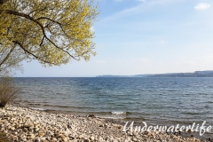 IMG-20170406-WA0001