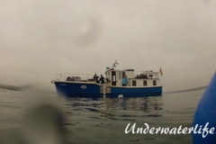 Jura-2015- (1 von 1)